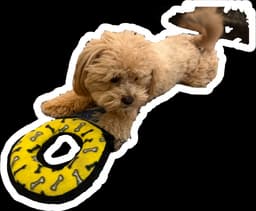 Sticker by Jaith