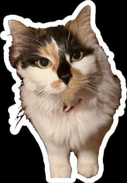 Sticker by Jaith